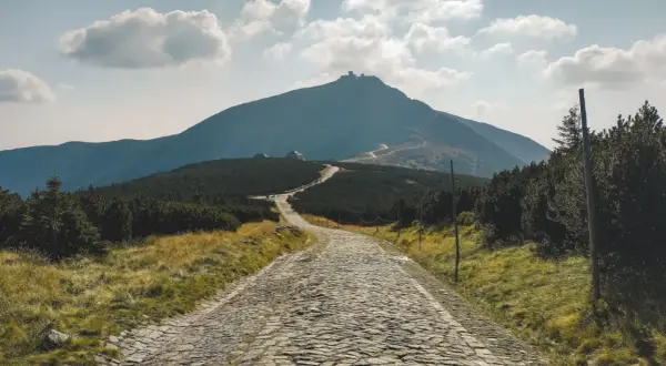 Kamienista trasa z kopy na Śnieżkę, wijąca się przez góry i kosodrzewiny, zaprasza do wędrówki.