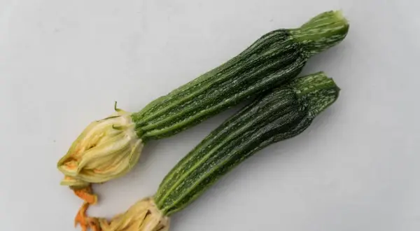 Två små ansa zucchini med blommor, redo att tillagas.