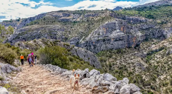 Un grupo de senderistas y un perro disfrutan de una ruta de senderismo en Alicante, con un camino pedregoso y montañas escarpadas.