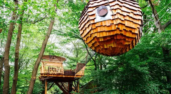 Une cabane sphérique en bois suspendue dans les arbres, à côté d'une autre cabane sur pilotis. Une balade insolite dans la nature.