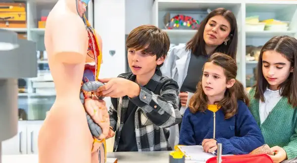 Chłopiec wskazuje na model organów, omawiając edukacja zdrowotna tematy z nauczycielem i uczniami.