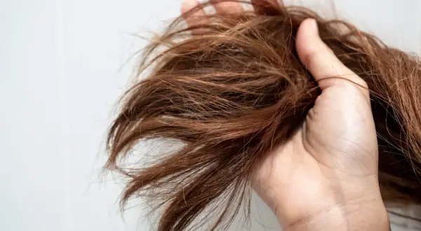 Une main tient une mèche de cheveux châtain, visiblement secs et emmêlés. Ces cheveux secs causes peuvent être dus à de nombreux facteurs.