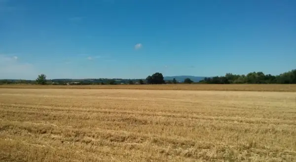 Pole po żniwach pod błękitnym niebem. Zastanawiasz się, ile kosztuje hektar ziemi rolnej 5 klasy?