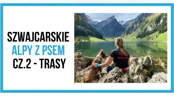 Szwajcaria góry gdzie jechać? Kobieta z psem podziwia alpejskie jezioro i szczyty. Idealne trasy dla miłośników gór i czworonogów.