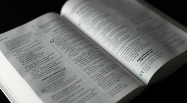 Otwarta Biblia, na której strony czytamy o tym, czy zwierzęta idą do nieba.