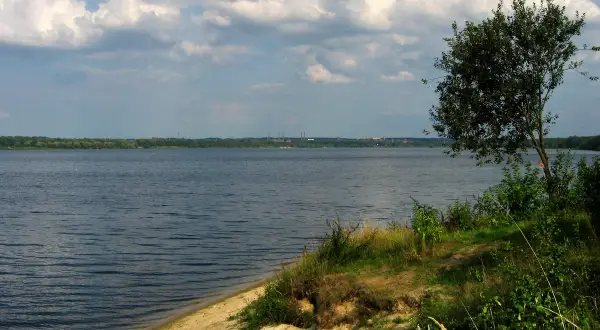 Spokojne, rozległe jezioro z piaszczystym brzegiem i drzewem na pierwszym planie. W oddali widać zalesiony horyzont i kominy.