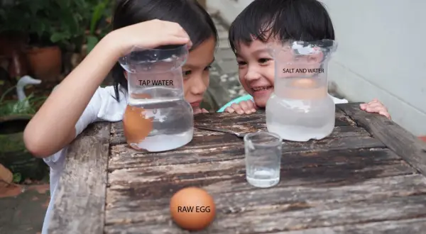 Niños observan experimentos con agua y un huevo. Un huevo flota en agua salada, otro se hunde en agua normal.