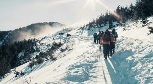 Grupa turystów wędruje ośnieżonym szlakiem. Słońce świeci jasno, tworząc długie cienie. To idealna sceneria na tatry zimą dla średniozaawansowanych.