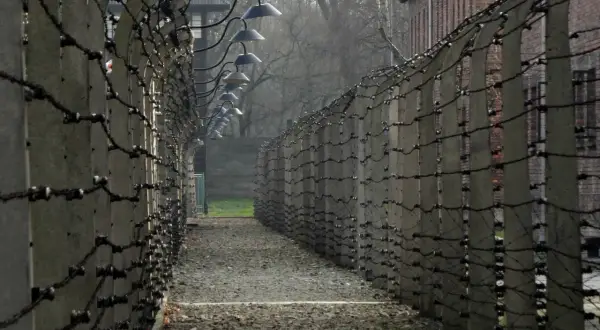 Ścieżka między betonowymi słupami i drutem kolczastym, z latarniami nad głową.