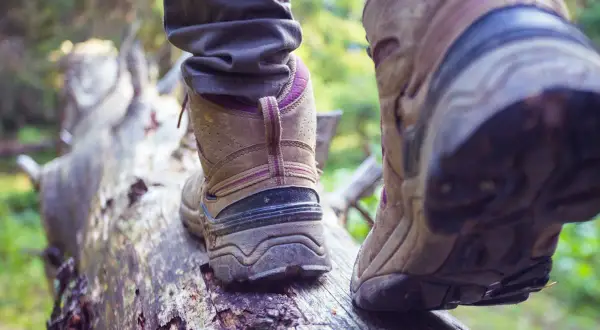 Osoba w butach trekkingowych stąpa po powalonym drzewie. Czy buty trekkingowe powinny być większe? Wygoda na szlaku jest kluczowa.