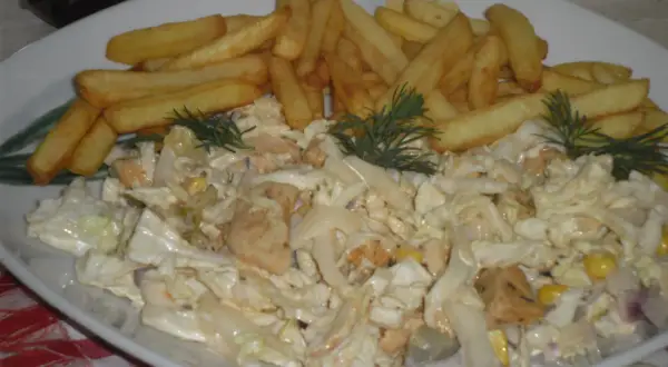 Kebab na talerzu z frytkami i surówką.