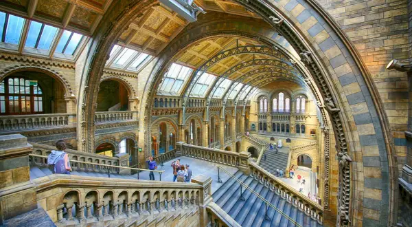 Imponerande interiör i naturhistoriska museet London med storslagna trappor och valv.