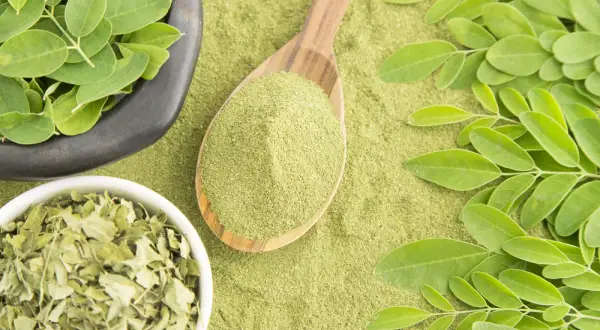 Moringa na odchudzanie jak stosować: skuteczne metody i dawkowanie