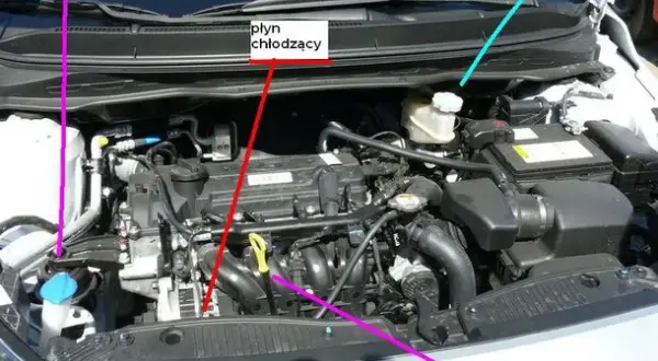 Co jest pod maską Toyota Yaris - kluczowe elementy silnika i ich funkcje