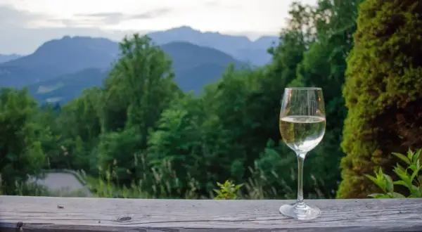 Wino dry co to znaczy? Poznaj smak i różnice w winach