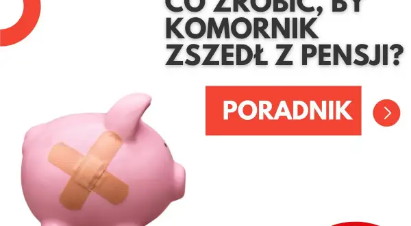 Różowa świnka-skarbonka z plastrem na boku. Tekst: "Co zrobić, by komornik zszedł z pensji?". Poradnik.