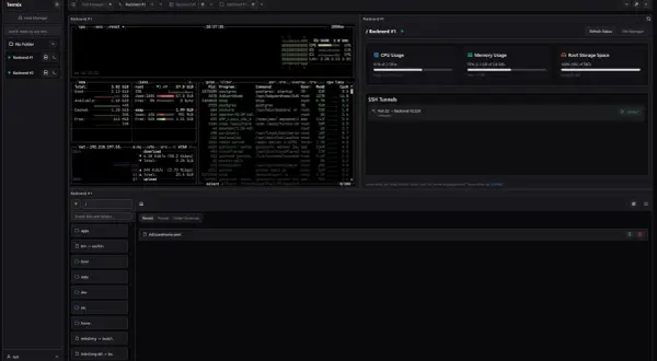 Zarządzanie serwerem Racknerd #1 przez **dostęp SSH**. Widok menedżera serwerów z informacjami o CPU, pamięci i dyskach.