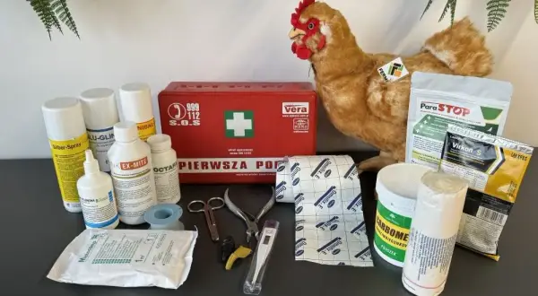 Czym odrobaczać kury, aby uniknąć pasożytów i poprawić zdrowie?