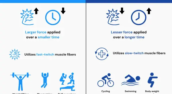 Endurance: lesser force applied over a longer time, utilizing slow-twitch muscle fibers. Examples: cycling, swimming, bodyweight exercises.