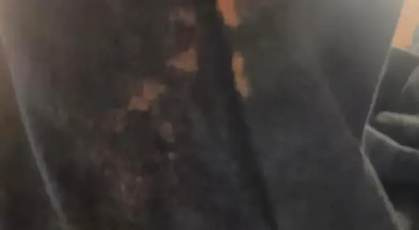 Macchie di candeggina su tessuto scuro, un problema comune per cui i rimedi della nonna sono sempre utili.