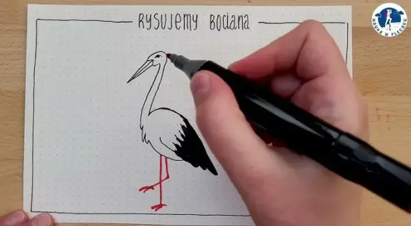 Bocian krok po kroku: Jak narysować symbol wiosny z dzieckiem?