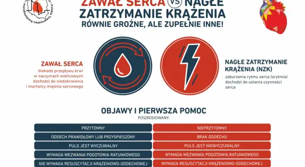 Zawał serca a NZK (nagłe zatrzymanie krążenia) - różnice i pierwsza pomoc. Grafika porównuje objawy i postępowanie.