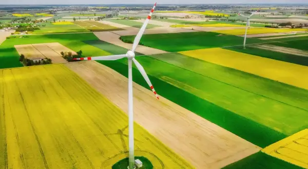 Wiatrak na tle pól rzepaku i zbóż. Nowa ustawa wiatrakowa wspiera takie inwestycje w zieloną energię.