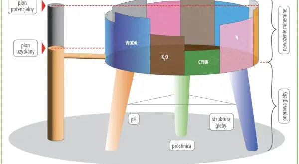 Model ilustruje czynniki wpływające na plon, kluczowe dla każdego agronoma: wodę, składniki mineralne (N, K₂O, cynk) oraz poprawę gleby (pH, próchnica, struktura).