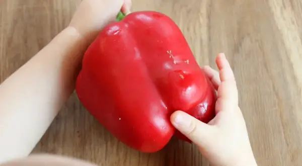 Kleine Hände halten eine rote Paprika. Wann ist Paprika für Babys geeignet? Ab dem 6. Monat kann man mit Beikost beginnen.