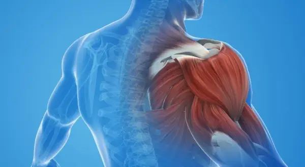 Contractura muscular: Identifica el "nudo" y dile adiós al dolor.