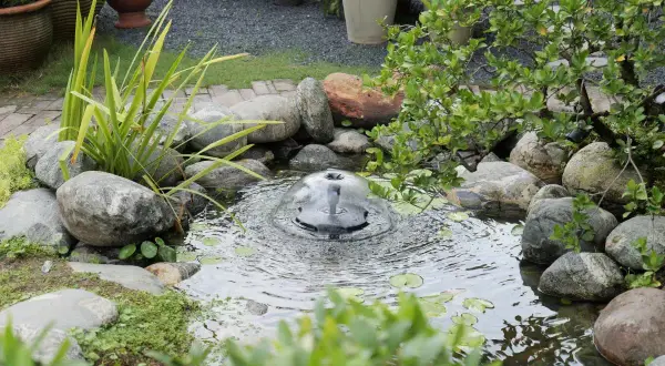 Un bassin d'eau avec une fontaine bulle, entouré de rochers et de verdure. Idéal pour fabriquer une cascade en bois.