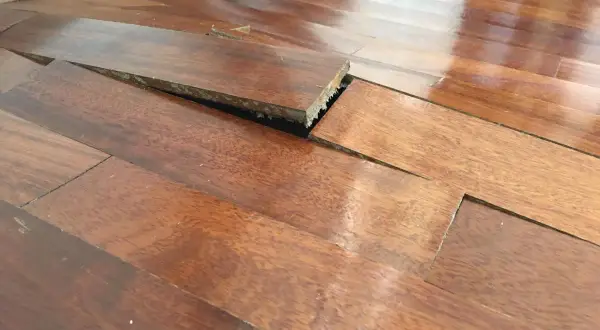 Parquet sollevato e deformato, con evidenti macchie di umidità che hanno compromesso le doghe.