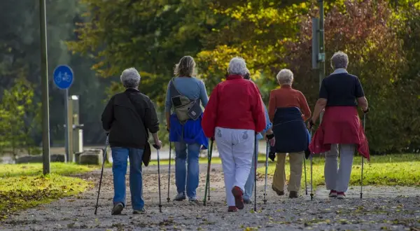 Grupa osób starszych na spacerze z kijkami, wspierająca rehabilitację po bajpasach.