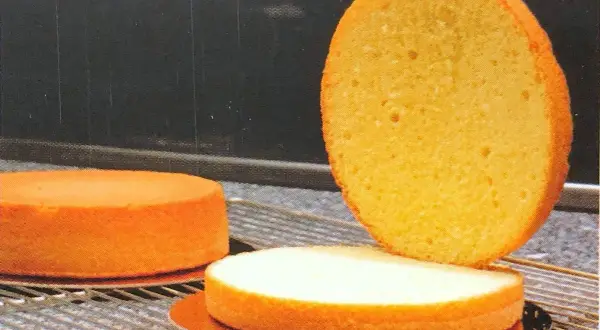 Trois disques de génoise dorée, prêts pour une recette. L'un est coupé en deux, révélant sa texture aérée.