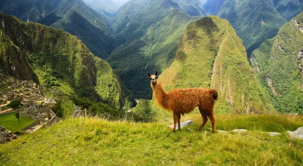 Kiedy jechać do Peru? Odkryj najlepsze miesiące na podróż