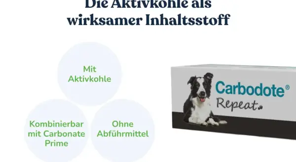 Carbodote Repeat: Aktivkohle für den Hund. Hilft bei Verdauungsproblemen, ohne Abführmittel.