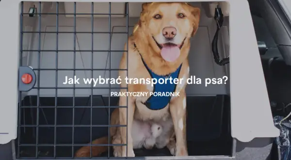 Transporter dla szczeniaka: jak wybrać idealny model dla pupila