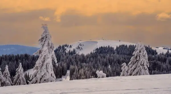 Schwarzwald höchste Berge: Feldberg, Belchen & Herzogenhorn entdecken