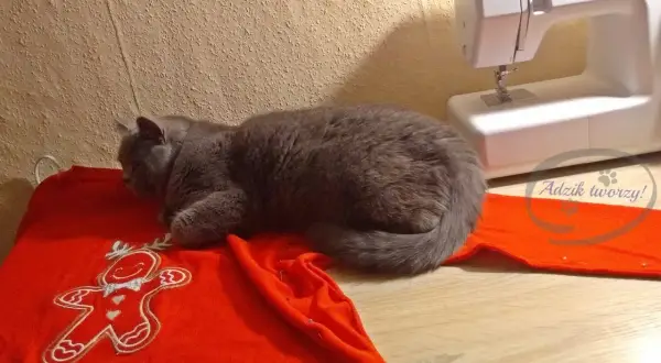 Przeróbka swetra na kardigan: Prościej niż myślisz! DIY
