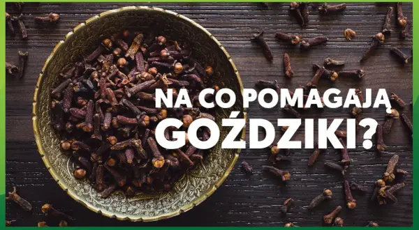 Napar z goździków na co pomaga? Miska pełna goździków, aromatycznej przyprawy o wielu właściwościach leczniczych.