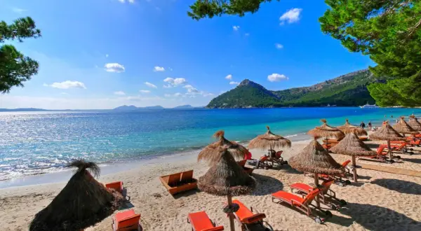 Plaża z leżakami i parasolami pod palmami, turkusowa woda i góry w tle.