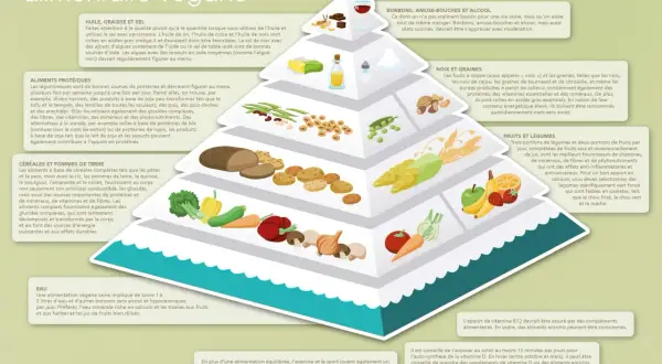 Pyramide alimentaire végane : huiles, noix, graines (lipides) sont sources d'acides gras essentiels.