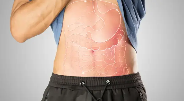 Anatomia jamy brzusznej z zaznaczonymi narządami, w tym żołądkiem i jelitami. Woreczek żółciowy, kluczowy dla trawienia tłuszczów, jest częścią tego układu.