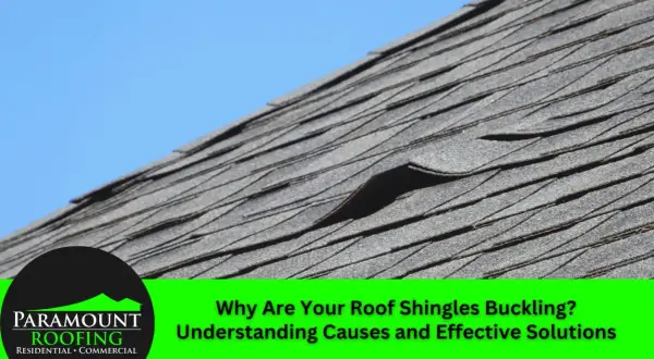Close-up of a roof with several buckling shingles. A bright blue sky is visible in the background. Text overlay asks, "Why Are Your Roof Shingles Buckling?