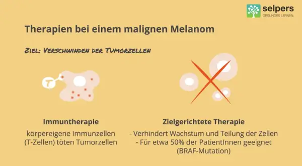 Illustrationen zeigen zwei Therapien gegen Melanom: Immuntherapie mit T-Zellen, die Tumorzellen angreifen, und zielgerichtete Therapie, die Zellwachstum stoppt.
