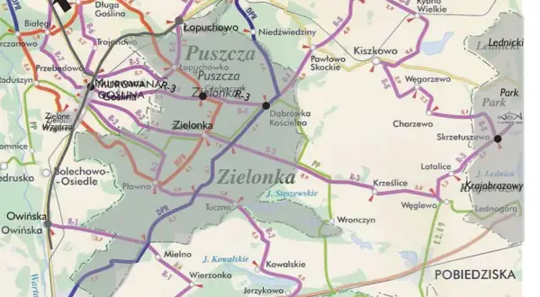 Puszcza Zielonka oferuje liczne trasy rowerowe, idealne na aktywny wypoczynek.