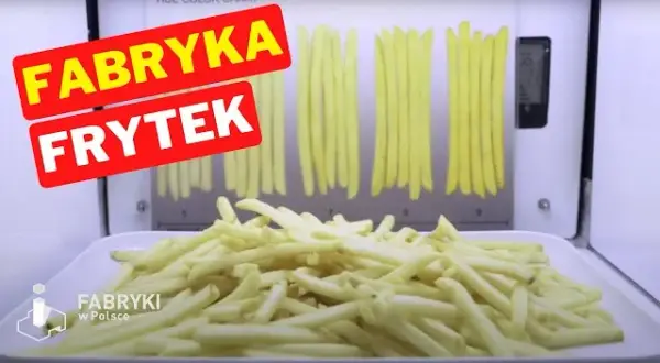 Na czym McDonald's smaży frytki w Polsce? Skład i prawda