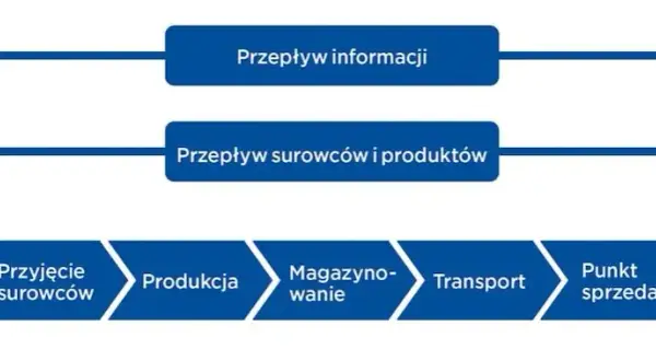 Logistyk vs spedytor: Kto za co odpowiada w łańcuchu dostaw?