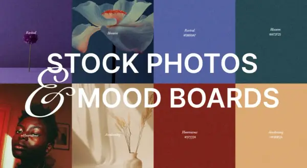 A mood board showcasing diverse stock photos and color palettes, from a single purple flower to a dramatic portrait, illustrating what a mood board is.