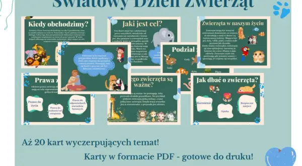 Światowy Dzień Zwierząt: poznaj prawa, podział i znaczenie zwierząt. Dbaj o nie!